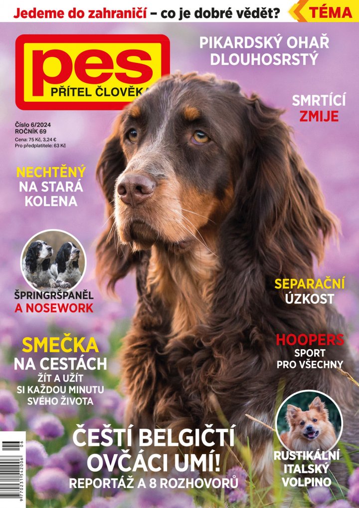 titulní strana časopisu Pes přítel člověka a jeho předplatné