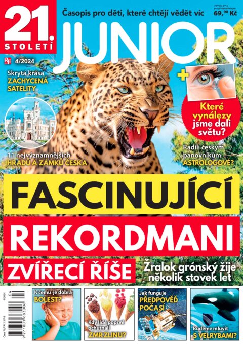 titulní strana časopisu JUNIOR a jeho předplatné