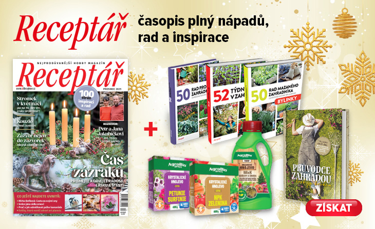 promo předplatného časopisů