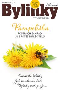 obálka časopisu Bylinky revue 4/2021