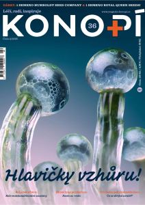 obálka časopisu Konopí (36) 4/2025