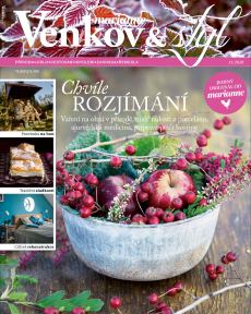 obálka časopisu Marianne Venkov & styl 11/2020