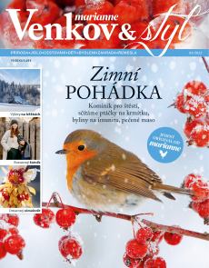 obálka časopisu Marianne Venkov & styl 1/2022