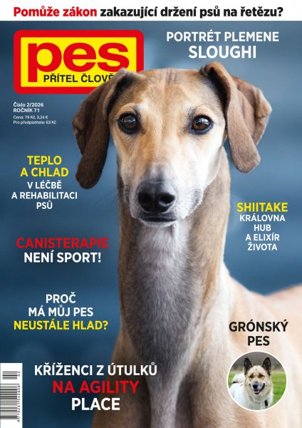 obálka časopisu Pes přítel člověka 2/2026
