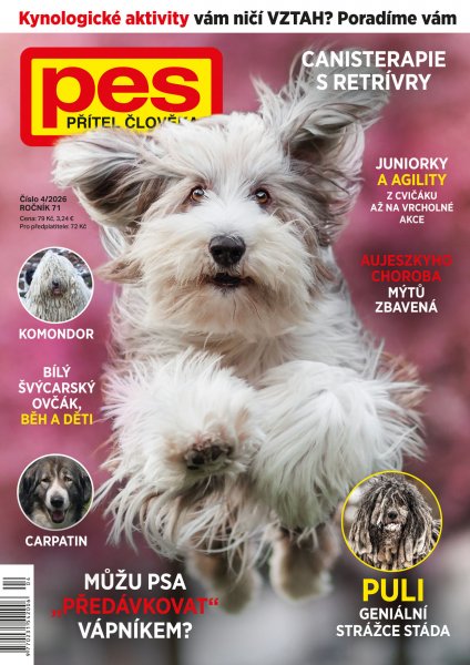 obálka časopisu Pes přítel člověka 4/2026