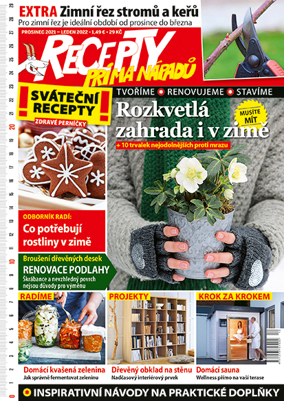 obálka časopisu Recepty prima nápadů 12-01/2022