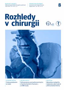 obálka časopisu Rozhledy v chirurgii  8/2024