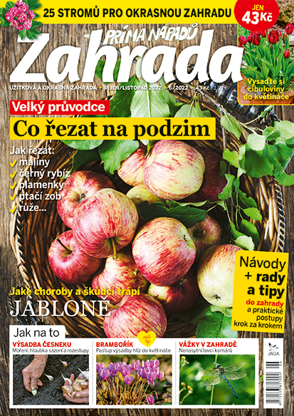 obálka časopisu Zahrada prima nápadů 6/2022