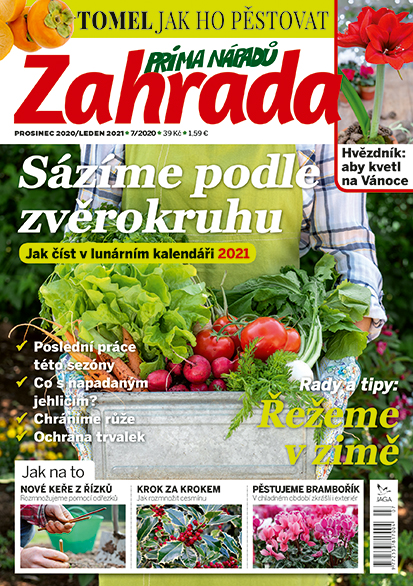 obálka časopisu Zahrada prima nápadů 7/2020