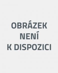 obálka časopisu Simpsonovi speciál