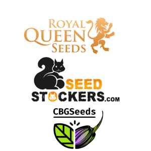  8 semen od 3 různých seedbank  Letní výběr oblíbených odrůd  V tomto výhodném balíčku najdete osm semen celkem čtyř různých odrůd: 2 semena Critical od Royal Queen Seeds, 1 semeno La Berna od CBG Seeds, 2 semena Super Skunk Auto a 3 semena BCN Critical XXL od Seedstockers.