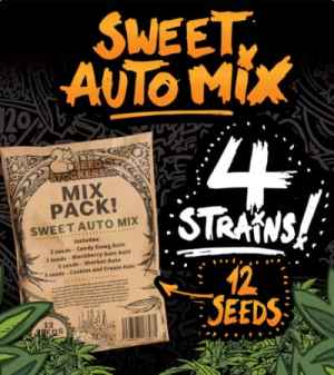  Sweet Auto Mix od Seedstockers 
 12 semen samonakvétacích odrůd  
Speciální výběr za skvělou cenu od španělských veverek: 3x Candy Dawg Auto, 3x Sherbet Auto, 3x Cookies and Cream Auto a 3x Blackberry Gum Auto. Jen pro sběratelské účely. 
