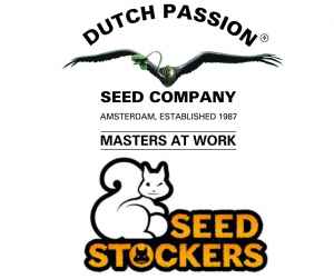  Vánoční nadílka 20 semen 
 Ježíšek od Dutch Passion a Seedstockers 
Ve vánočním balíčku najdete 5 semen odrůdy Durban Dew a 3 semena Auto Melonade Runtz od Dutch Passion. K tomu 6 semen Cookies Fast a 6 semen Panty Punch Auto od Seedstockers. Jedná se o sběratelský předmět.