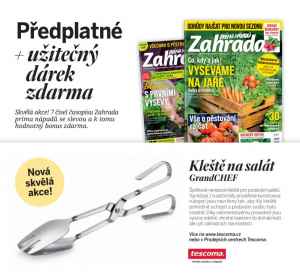 Dárek pro nové předplatitele -  Kleště na salát GrandCHEF.  