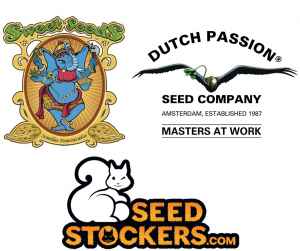  Jarní mix 19 semen 
 4 ks Sweet Seeds, 10 ks Seedstockers a 5 ks Dutch Passion 
To tu ještě nebylo! Monster Mix od Sweet Seeds (2x Mental Rainbow F1 Fast a 2x Monster Maker), 5x Candy Dawg Auto a 5x Big Yeti Fem od Seedstockers, 3x Auto Skywalker Haze a 2x Auto Orange Bud od Dutch Passion. Jde o sběratelský předmět.