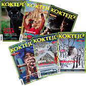 Předplaťte si Glanc na rok 
a získejte jako dárek kompletní ročník časopisu Koktejl 2024 v hodnotě 474 Kč.
  

 Ročník Koktejl 2024  
 - všech 6 čísel časopisu Koktejl z roku 2024
  



Cena zahrnuje poštovné a balné.
  

Předplatné je na 12 měsíců. 
  

 Elektronická verze  časopisu je k tištěné verzi zcela  ZDARMA .
 
Registrujte se na  www.Mojepredplatne.cz  a čtěte svůj oblíbený titul až na 4 zařízeních v E-KNIHOVNĚ.