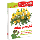 Předplaťte si Týdeník Květy na 3 měsíce 
 za akční cenu  
a získáte Edici  Atlas plevelů  v hodnotě 79 Kč jako dárek.
  

  Edice Atlas plevelů  
Jaké druhy plevelů škodí na vaší zahradě?  
Poradíme nejen jak je poznat, ale také jak je účinně zlikvidovat! 
Podrobné popisy a kvalitní fotografie nejznámějších druhů plevelů, které škodí na vaší zahradě. 
Dozvíte se rovněž, které plevele jsou použitelné v kuchyni. 
Cena na stánku 79,90 Kč, vyšlo v roce 2019. 
✱ Nejnámější druhy 
✱ Jak s nimi bojovat 
✱ Některé jsou i jedlé



  
Cena zahrnuje poštovné a balné.

 
  
Neváhejte a objednávejte ihned. Nabídka platí jen do vyčerpání zásob dárků. 
Dárky vám rezervujeme dva týdny od objednání předplatného (do té doby je třeba předplatné uhradit). 
Dárky zasíláme do 30 dnů od zaplacení na adresu plátce prostřednictvím České pošty. 
Nabídka platí pouze pro předplatné doručované do České republiky.



  
Předplatné je na 3 měsíce.

  
 Elektronická verze  časopisu je k tištěné verzi zcela  ZDARMA .
 
Registrujte se na  www.Mojepredplatne.cz  a čtěte svůj oblíbený titul až na 4 zařízeních v E-KNIHOVNĚ.

