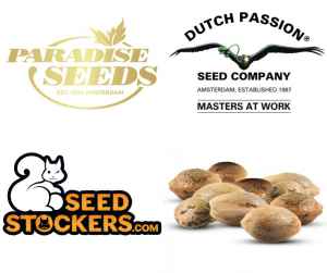  Podzimní výprodej automatů! 
 12 semen od nejlepších evropských seedbank 
V novém balíčku najdete Auto Collection #2 od Paradise Seeds (po 2 ks od Auto Acid, Pandora Auto a Auto Jack), 3 ks novinky Auto Candy Bubatz XL od Dutch Passion a 3 ks variety Blue Moby Auto od španělských Seedstockers. 


