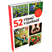 Objednejte si předplatné TV Pohoda křížovky na celý rok 
a získáte knihu 52 týdnů v zahradě v hodnotě 199 Kč.
  

 Kniha 52 týdnů v zahradě  
Osvědčené postupy, tipy a nápady na celý rok  
Nejnovější kniha Receptáře nabízí kompletní přehled zahradních prací pro každý týden v roce. 
Sázet, sít, pěstovat a sklízet podle ní mohou začátečníci. 
Zkušeným zahradníkům zas kniha ukáže řadu zajímavých novinek. 
Publikace se věnuje nejen pěstování, ale třeba i drobným živočichům nebo výrobě vlastního hnojiva, zkrátka všemu, co poslouží vaší zahrádce.
Pěstujte s knihou 52 týdnů v zahradě letničky i trvalky pro krásu i užitek!
Knihu připravila redakce časopisu Receptář spolu se svými stálými spolupracovníky. 
Vyšlo v roce 2022. Hodnota knihy 199 Kč.


  
Neváhejte a objednávejte ihned. Nabídka platí jen do vyčerpání zásob dárků. 


  
 Elektronická verze  časopisu je k tištěné verzi zcela  ZDARMA .
 
Registrujte se na  www.Mojepredplatne.cz  a čtěte svůj oblíbený titul až na 4 zařízeních v E-KNIHOVNĚ.
