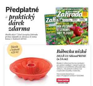 Dárek pro nové dvouleté předplatitele -  Bábovka nízká DELÍCIA SiliconPRIME (ø 24 cm)v hodnotě 429 Kč.
 Akce platí do vyčerpání zásob. 
   Bonus je odesílán na plátce. 