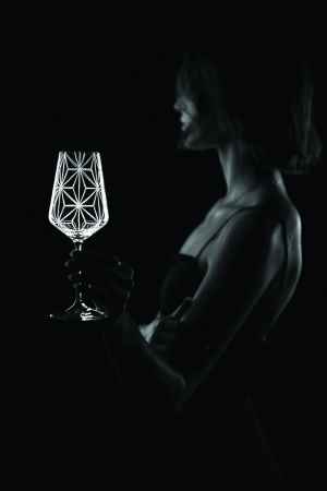 Dárek za předplatné -  SADA SKLENIČEK NA VÍNO GLORY BLACK od společnosti EVPAS 
   Dárek je odesílán na plátce do 6-ti týdnu od uhrazení. 