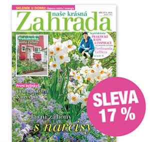 NKZ2603X Roční předplatné e slevou 17%   bez bonusu + DIGI VERZE ZDARMA. Je nutno zadat email u odběratele! 