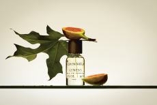 Ke každému novému předplatnému AMAZING Magazine získáte jako dárek parfém Pigmentarium 50 ml v hodnotě 3 490 Kč. 
Vůni jako originální umělecké vyjádření, ilustrace vnitřního světa, která odhalí jen tolik, kolik chcete. Vůně, která oblékne osobnost. Dárek bude zaslán ve variantě PARADISO nebo GENESIS dle aktuální skladové dostupnosti.
Nabídka platí pouze do vyčerpání zásob. Dárek k předplatnému zasíláme odběrateli. Předplatné se řídí platnými obchodními podmínkami vydavatele a obchodními podmínkami SEND Předplatné.
