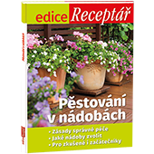 Předplaťte si Týdeník Květy na rok 
 za akční cenu  
a získáte edici Pěstování v nádobách v hodnotě 99 Kč.
  

 Edice Receptář – Pěstování v nádobách  
Terasa vám nejen zvětší obytnou plochu bytu či domu, ale může se stát taky jeho nepřehlédnutelnou ozdobou. 
Není pochyb, že ke krásné terase patří rostliny v nádobách. 
Jaké jsou ty správné, které budou slušet právě vaší terase nebo balkonu? Podle čeho vybírat?
Jaké kombinace květin, bylinek, okrasných keřů či ovoce a zeleniny zvolit? 
Jestliže s osázením terasy zrovna začínáte, poradíme také, jakou péči rostliny v nádobách vyžadují, 
po jakých nádobách a materiálech sáhnout a nakonec se můžete nechat inspirovat i praktickými radami renomované zahradní architektky. 
Prodejní cena 99 Kč, vychází 29. 4. 2025. 
• Zásady správné péče 
• Jaké nádoby zvolit 
• Pro zkušené i začátečníky



  
Neváhejte a objednávejte ihned. Nabídka platí jen do vyčerpání zásob. 

  
Předplatné je na 12 měsíců.


  
 Elektronická verze  časopisu je k tištěné verzi zcela  ZDARMA .
 
Registrujte se na  www.Mojepredplatne.cz  a čtěte svůj oblíbený titul až na 4&nbsp;zařízeních v E-KNIHOVNĚ.

