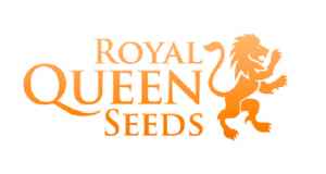 Balíček Royal Queen Seeds - dárek k předplatnému časopisu Legalizace